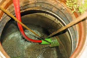 Utility Takes Care of Sewer Overflows