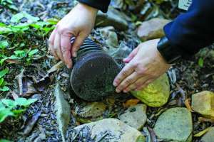 Rain Catchers Program Reduces Stormwater Impact