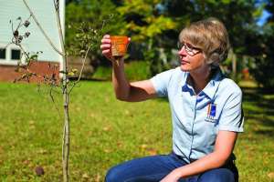 Rain Catchers Program Reduces Stormwater Impact