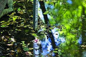Rain Catchers Program Reduces Stormwater Impact