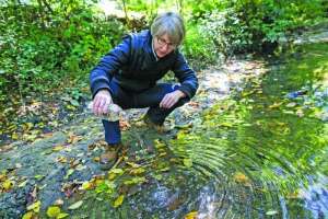 Durham msw 32 oct15 drago 171031 133302