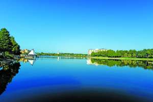 Ed torres 2178 171031 131342