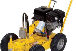Roots