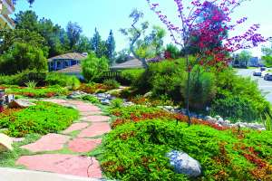 Stewards of Water Efficiency