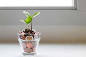 Financial literacy programs