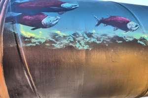 Fish Small Art Setting