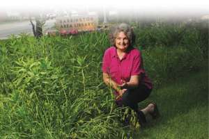 Many Hands Make Light Work