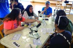 Florida School Grant Program 2