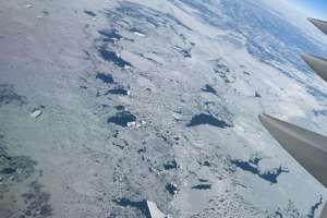 Life at the Bottom of the Water Industry