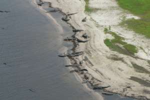 Drones Take Legwork Out of Infrastructure Inspection