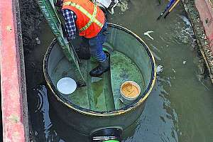Stormwater Management, Inflow and Infiltration Prevention