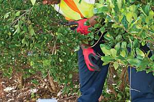 Gilstrap msw augusta 8222013 008 171031 135142