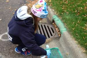 Girl Scouts clean up Midwest communities