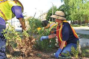Stormwater Management Basics for Water Utilities