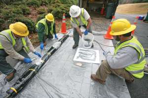 Greenwood metro 7 of 27 171031 134917