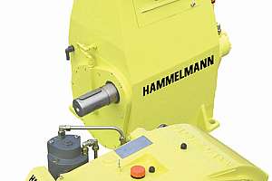 Chemical and Mechanical Root Control