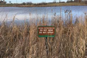 Evolving Your Approach to Stormwater Management