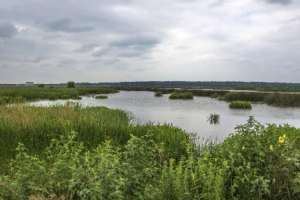 Istock 000045179614Medium W500