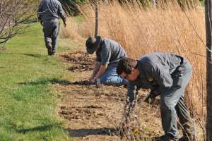 Stormwater as a Resource