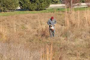 Stormwater as a Resource