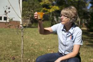 Jr Outreach Reboot 3