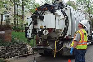 Root Force