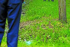 Utility Fights for Infrastructure Funding