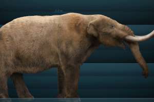 Snowmastodon! Reservoir Project Unearths Fabulous Fossils