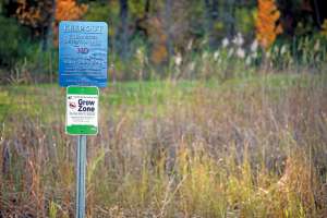Utility Takes Proactive Approach to Stormwater