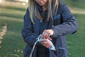 Stormwater Modeling for the Future
