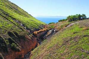 Sculpting a Canyon for Stormwater Conveyance