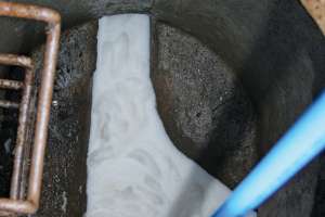 Milwuakie Training 031