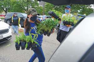 Ready to Capture the Rain