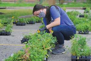 Ready to Capture the Rain