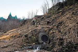 Msw 96 171031 132539