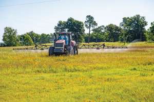 Transforming the Landscape
