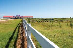 Transforming the Landscape