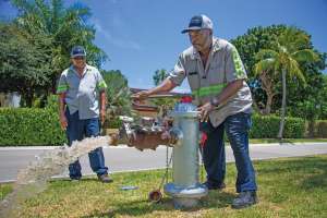 Mswballharbour Samuelnavarro110