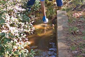 Mswmag griffinga cchappelle 018 171031 135011