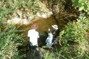 Nc sweep1 171030 110213