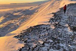 Life at the Bottom of the Water Industry