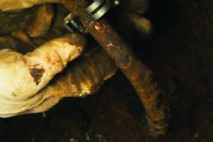 Respect Your Hand and Power Tools