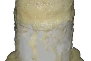 Chemical & Mechanical Root Control