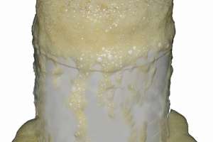 Chemical and Mechanical Root Control