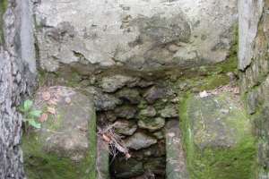 Learning From the Ancients