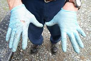 Pathogen 171030 130546