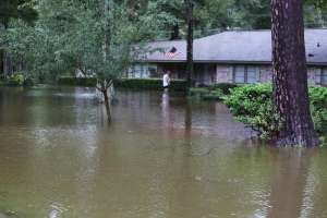 Pearland Story Photo