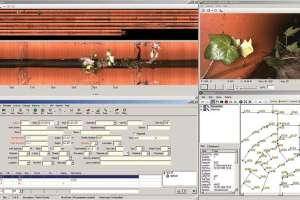 Pipeline Inspection, Surveying and Mapping