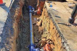 Exercising Proper Restraint