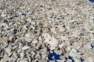 Porcelain In Storage